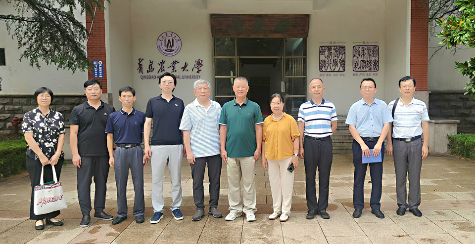 yl23455永利官网