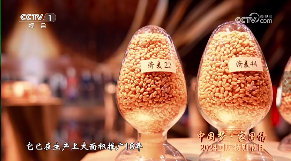 yl23455永利官网
