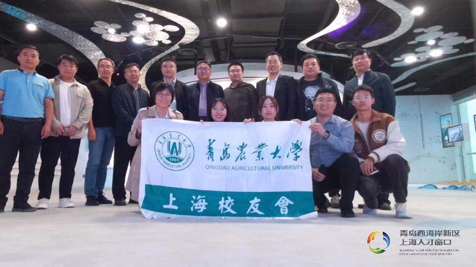 yl23455永利官网