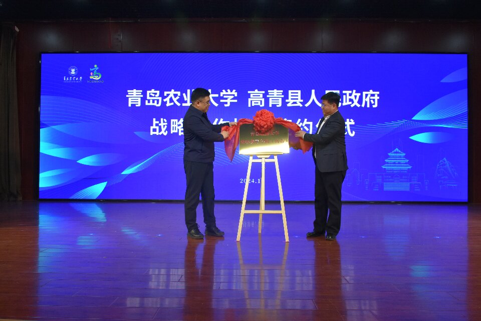 yl23455永利官网