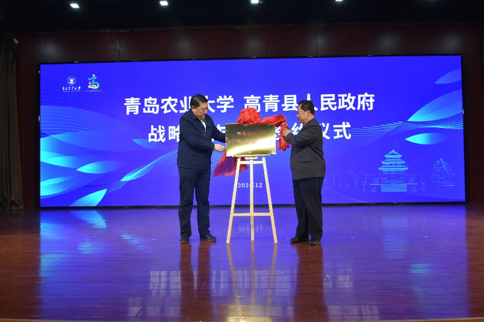 yl23455永利官网