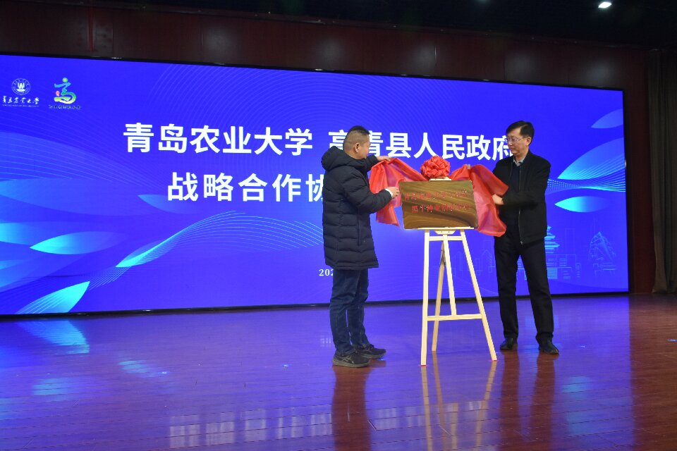 yl23455永利官网